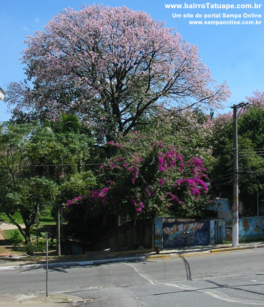 Rua Jarinu esquina Serra de Bragana